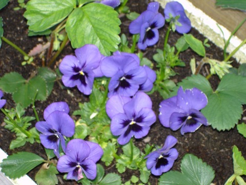 DSC01859