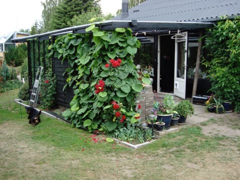 DSC00007
