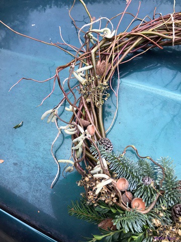 IMG_2293