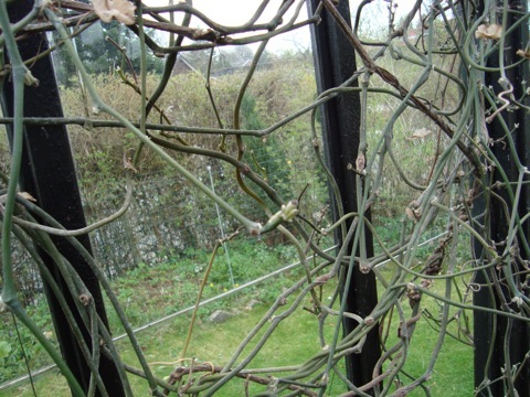 DSC00822