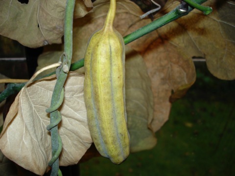 DSC03283