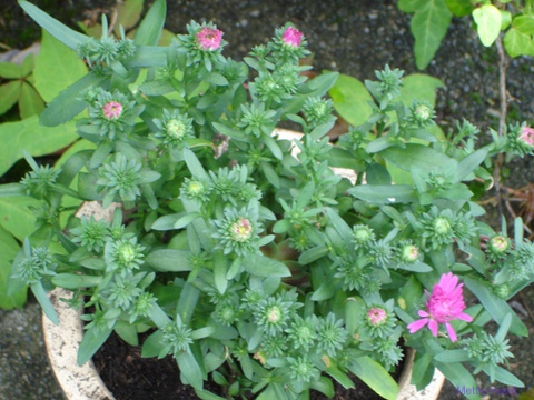 DSC02553