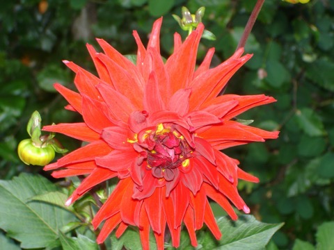 DSC02120