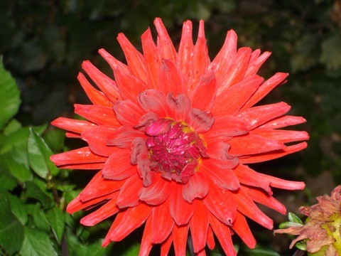 DSC02290