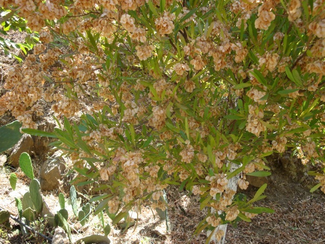 DSC04762
