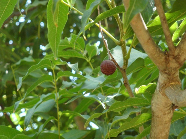 DSC04764
