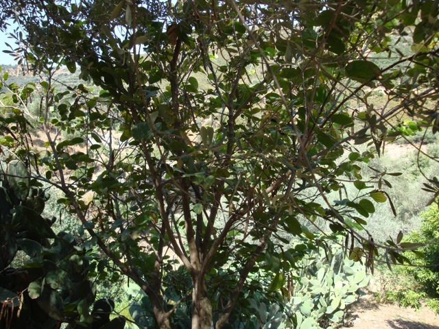 DSC04768